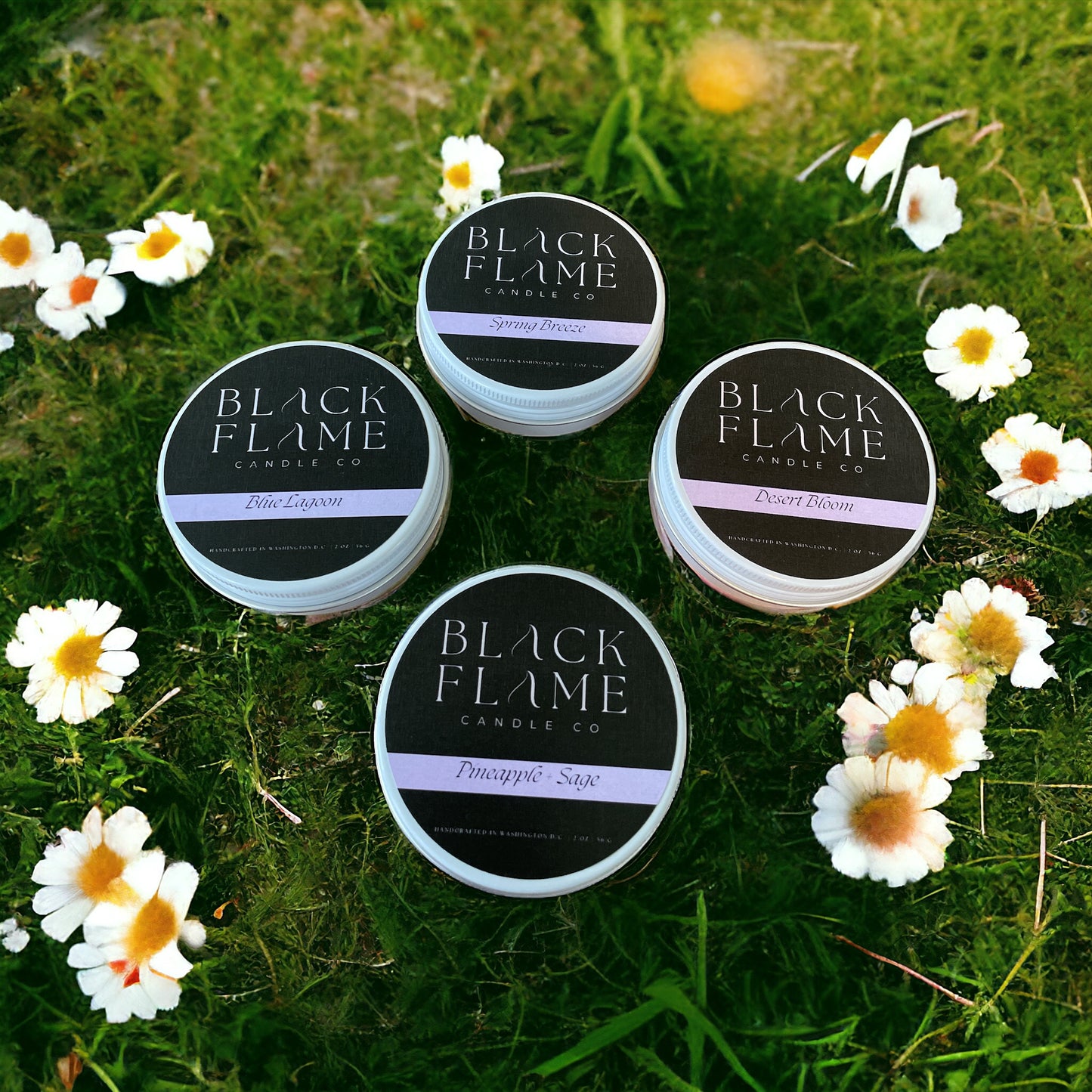SPRING DISCOVERY SET